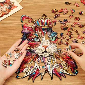Les puzzles en bois
