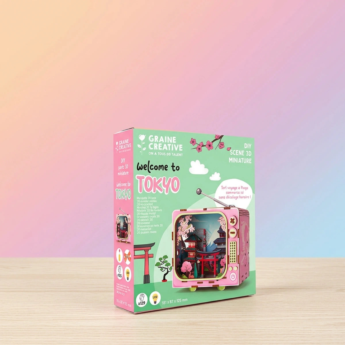 TV Tokyo – Maquette bois 3D