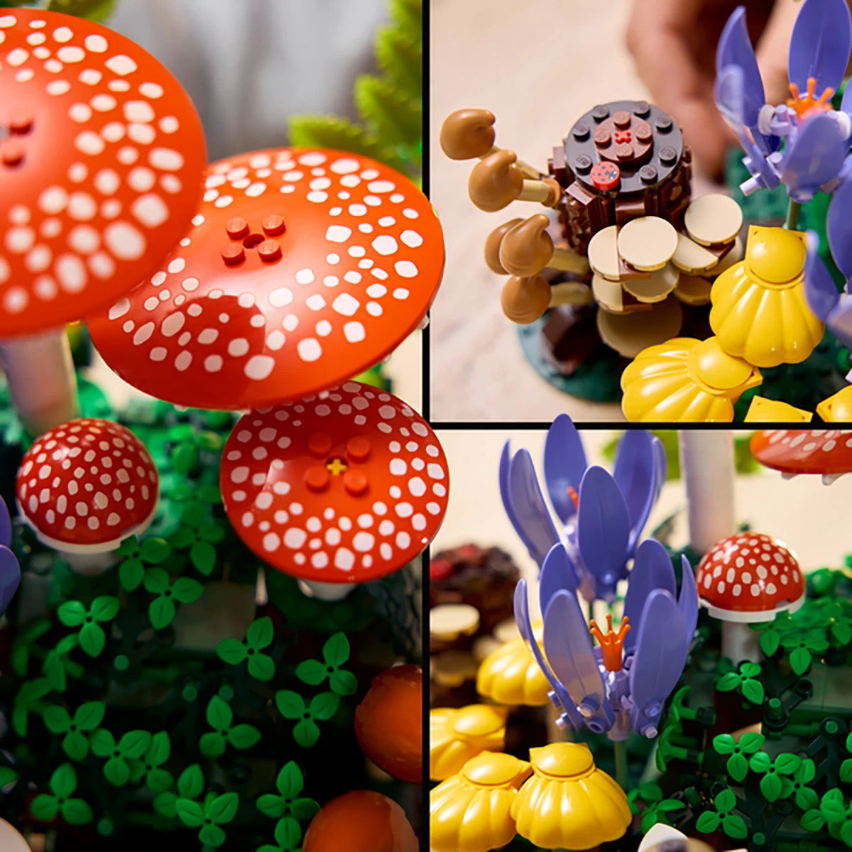 11505 - Les champignons des bois - LEGO® Botanique