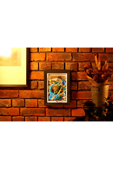 Dragon Ball Z Tamashii Art 3D Relief Picture Son Goku & Dragon 27 cm