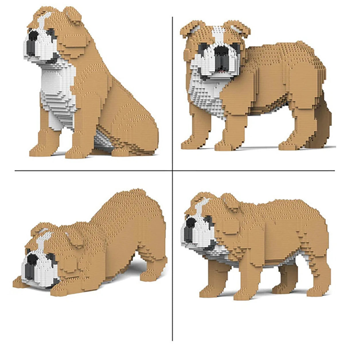 Bouledogue Anglais 4-en-1 34 cm – Jeu de construction – JEKCA