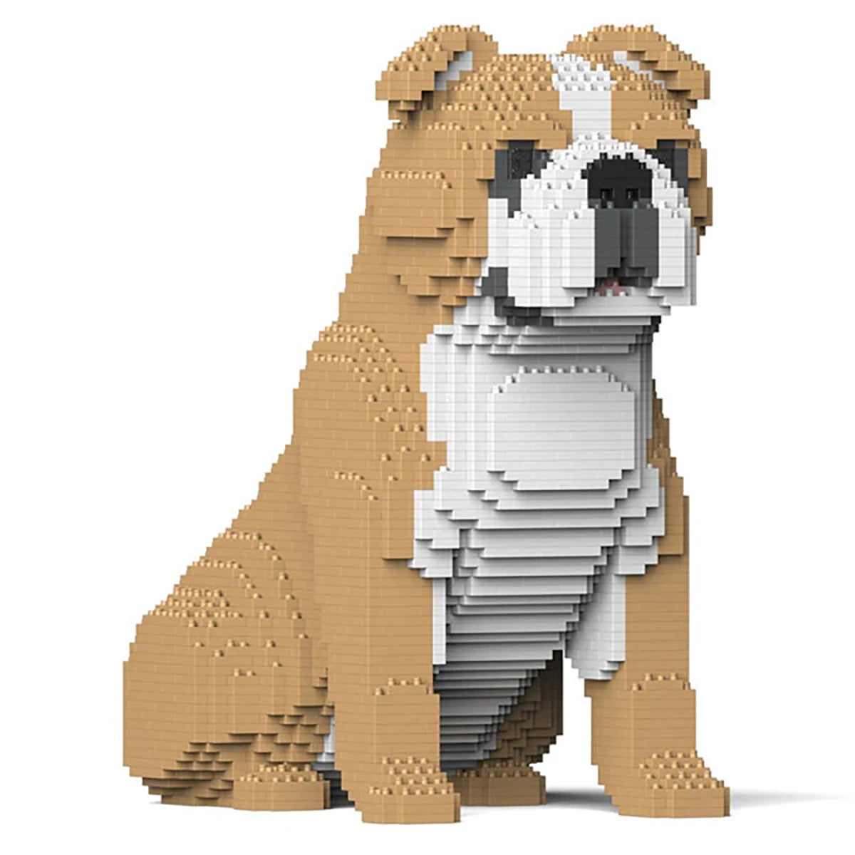 Bouledogue Anglais 4-en-1 34 cm – Jeu de construction – JEKCA