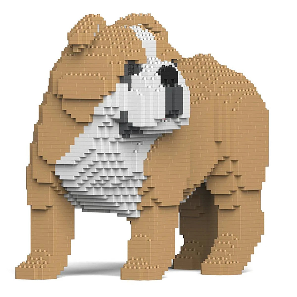 Bouledogue Anglais 4-en-1 34 cm – Jeu de construction – JEKCA