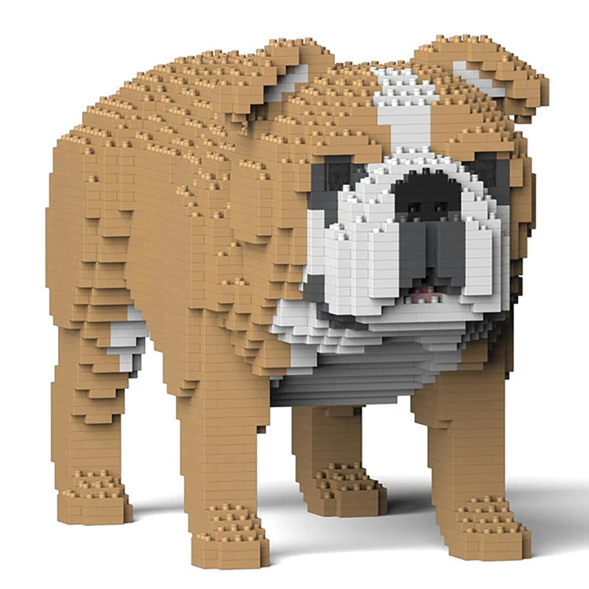 Bouledogue Anglais 4-en-1 34 cm – Jeu de construction – JEKCA