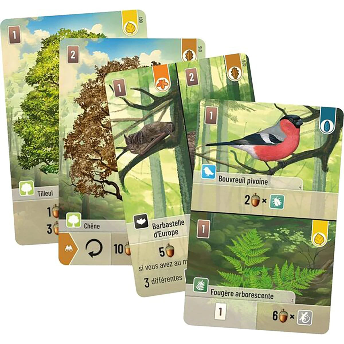 Forêt Mixte – Jeu de cartes stratégie et gestion