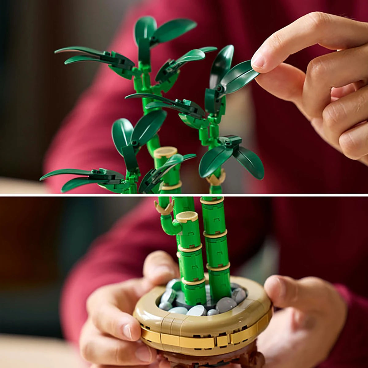 10344 - Le bambou de la chance - LEGO® Botanique