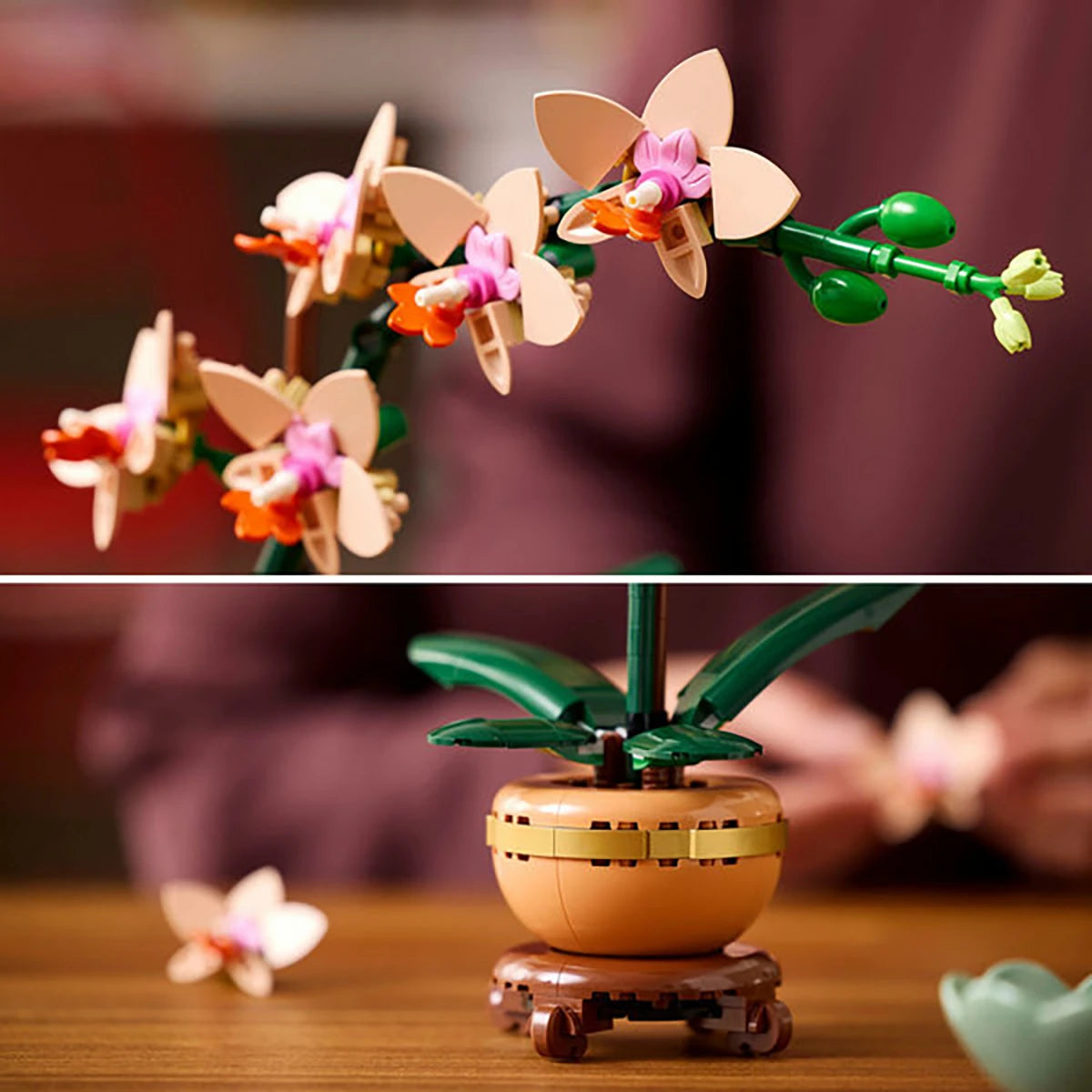 10343 - L’orchidée miniature - LEGO® Botanique