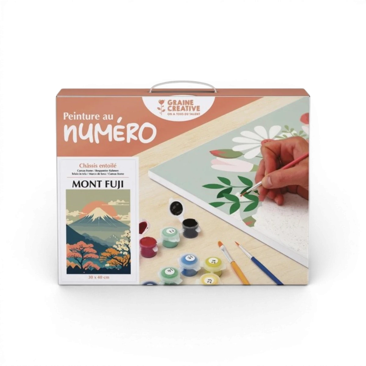 Mont Fuji – Peinture au numéro