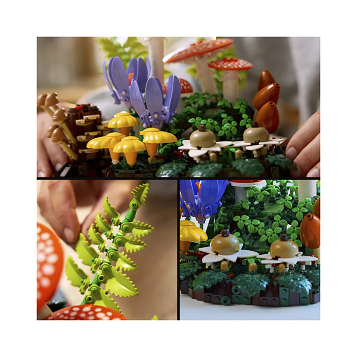 11505 - Les champignons des bois - LEGO® Botanique