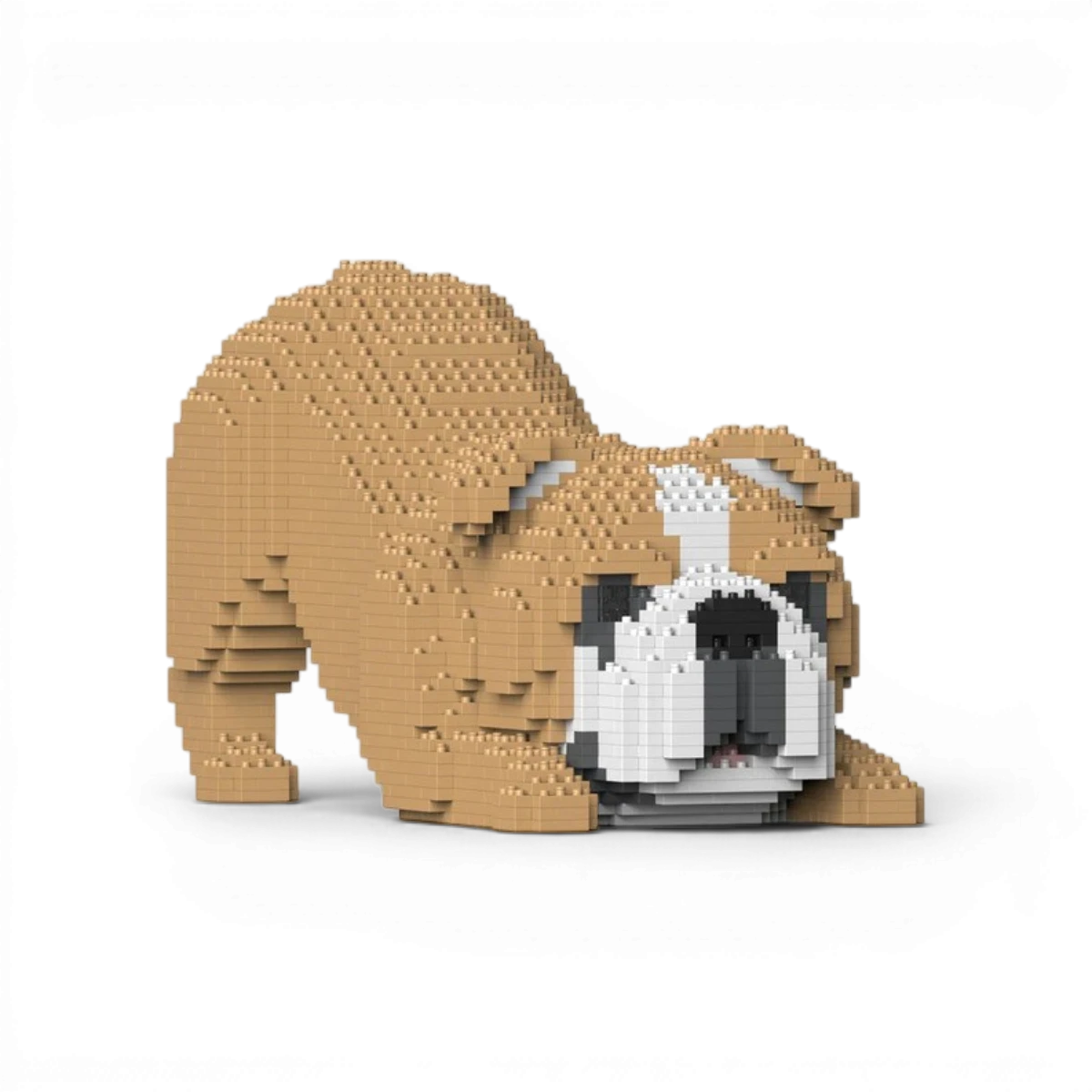 Bouledogue Anglais 4-en-1 34 cm – Jeu de construction – JEKCA