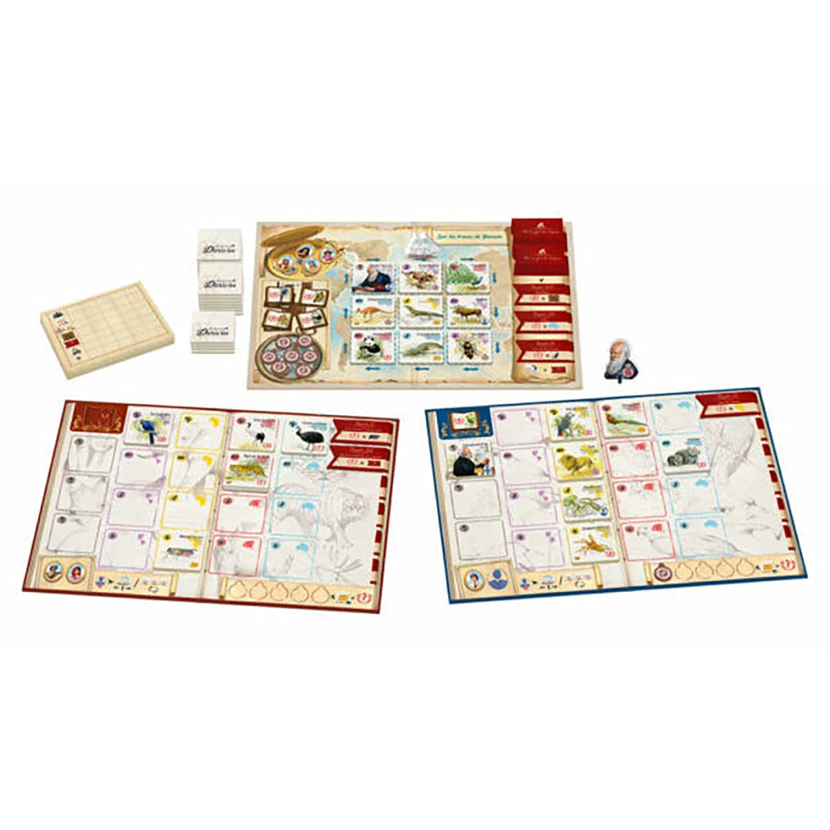 Darwin Exploration – Jeu de stratégie et optimisation