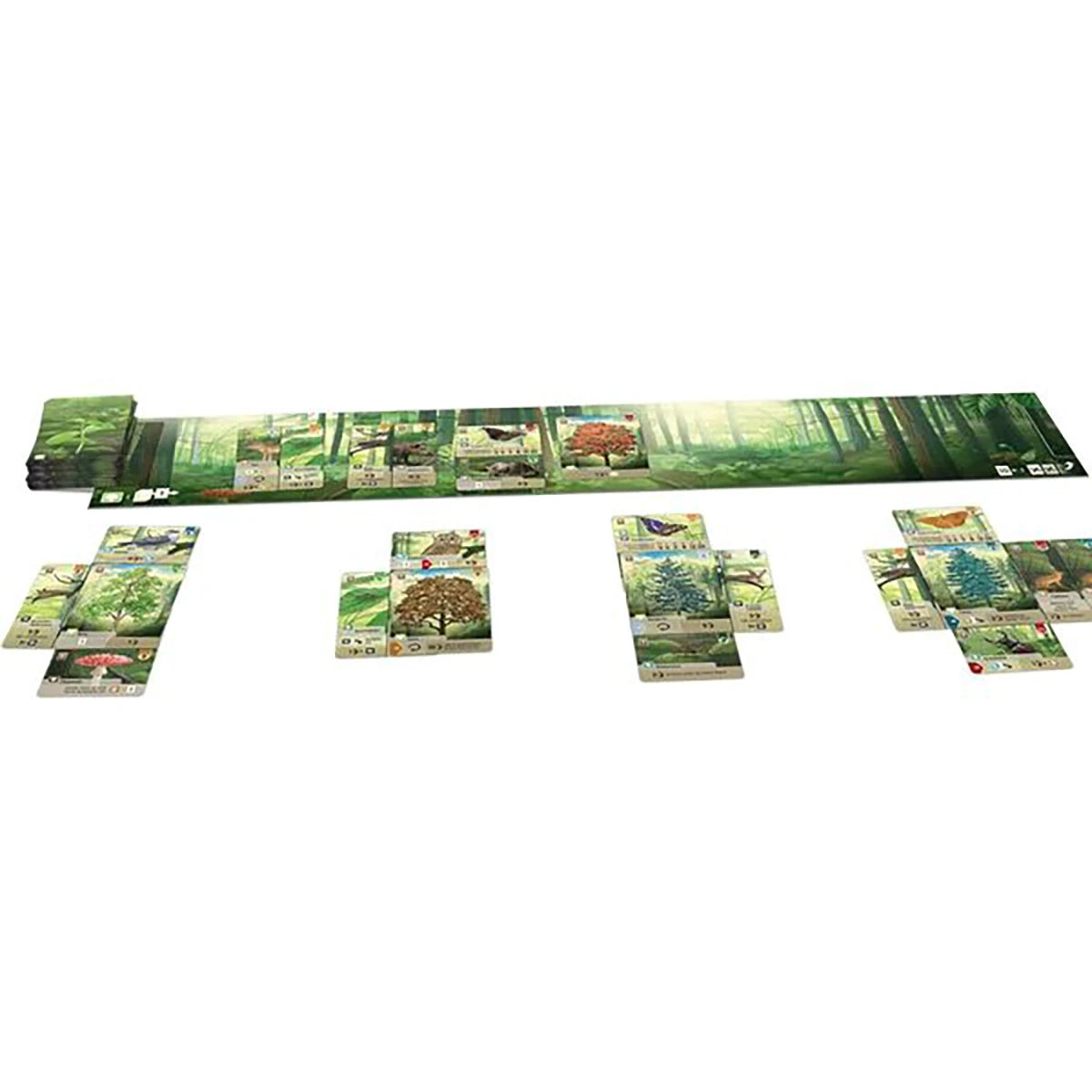 Forêt Mixte – Jeu de cartes stratégie et gestion