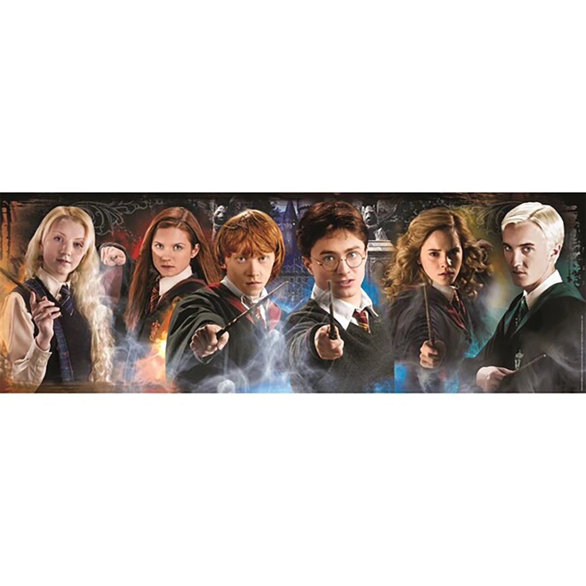 Puzzle panorama Harry Potter 1000 pièces