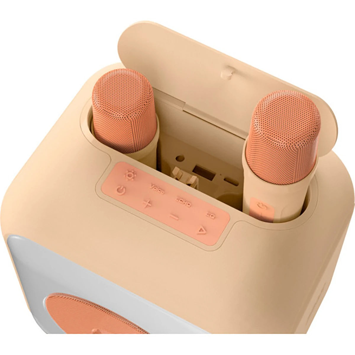 Enceinte karaoké Bluetooth 30W avec 2 micros sans fil et effets lumineux