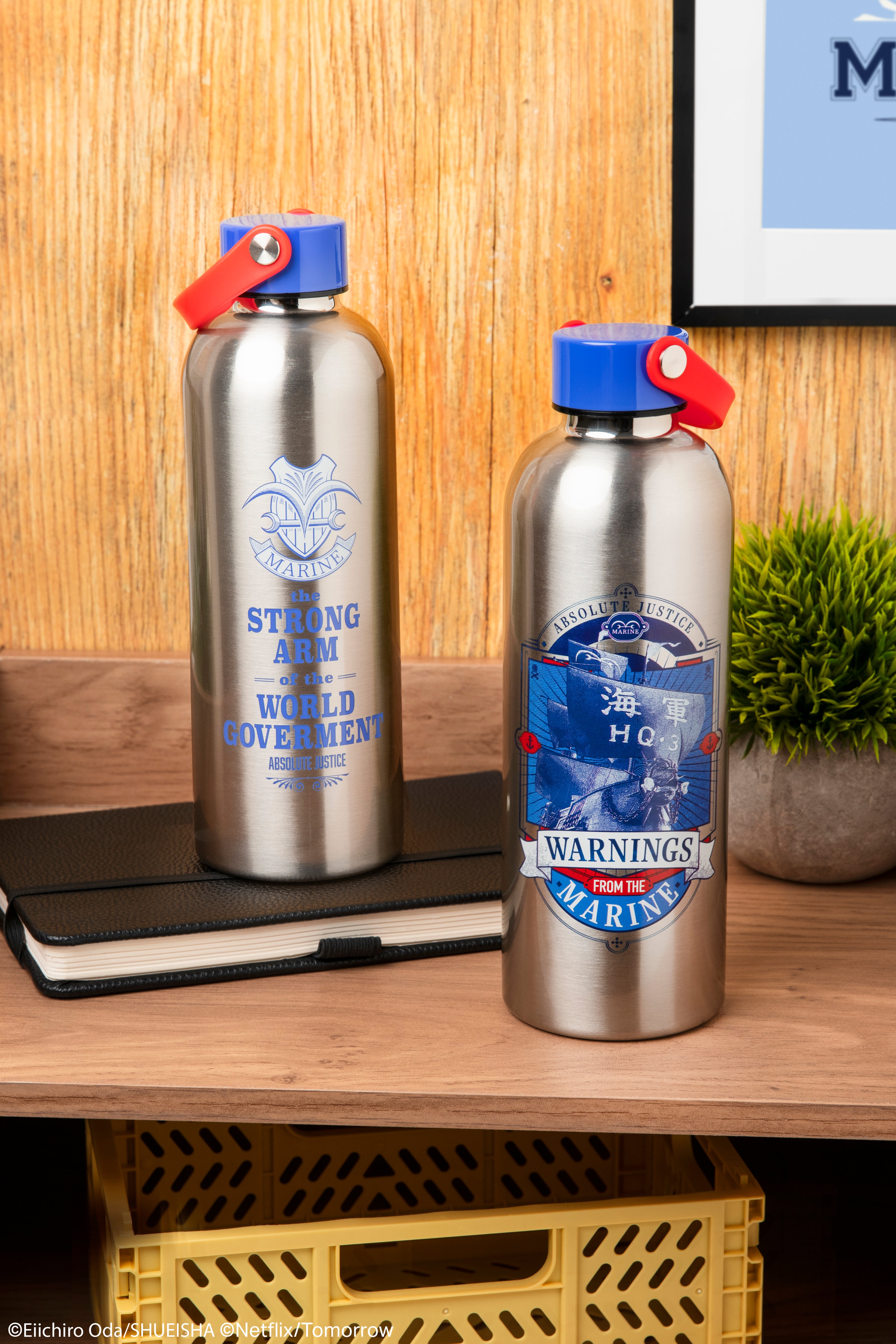 Gourde métal 500 ml - One Piece