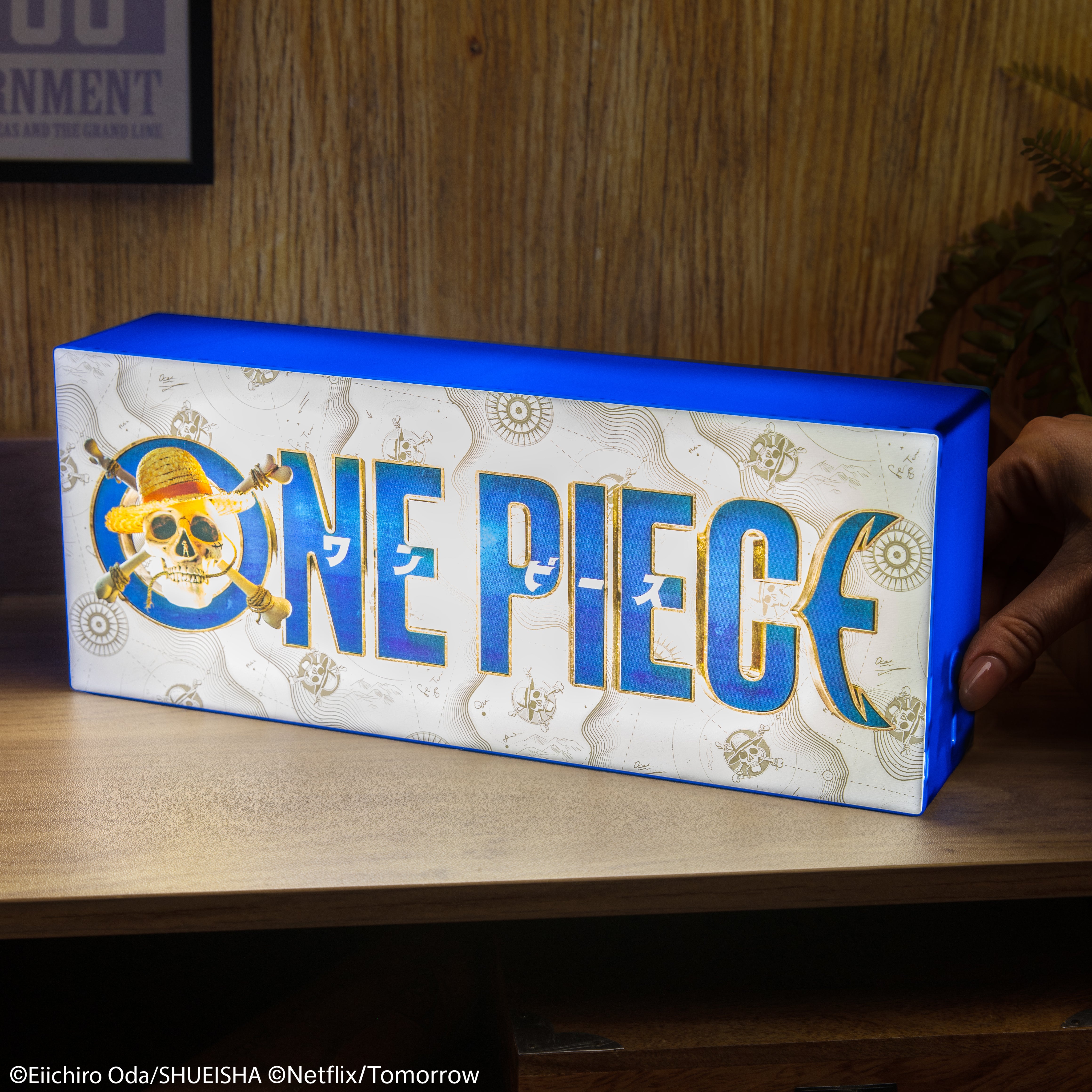 Lampe One Piece